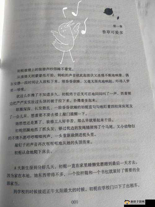 深入浅出 TXL 金银花笔趣：相关介绍