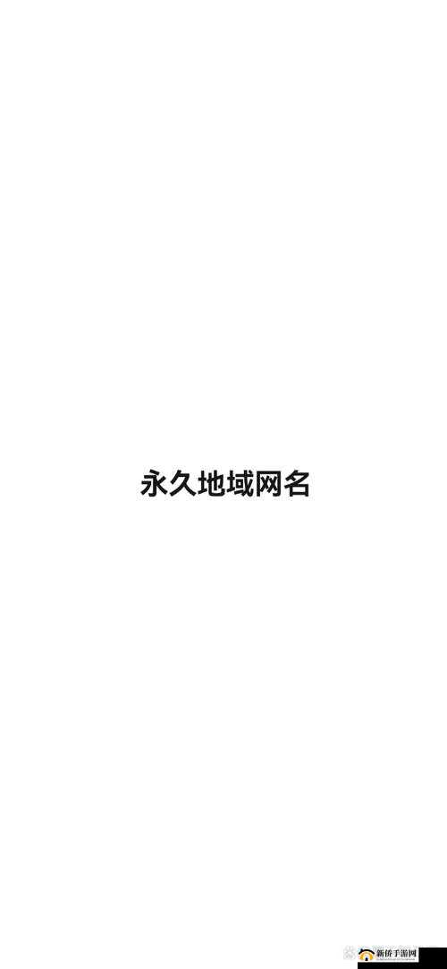 2023 年最新永久地域网名：探索新领域