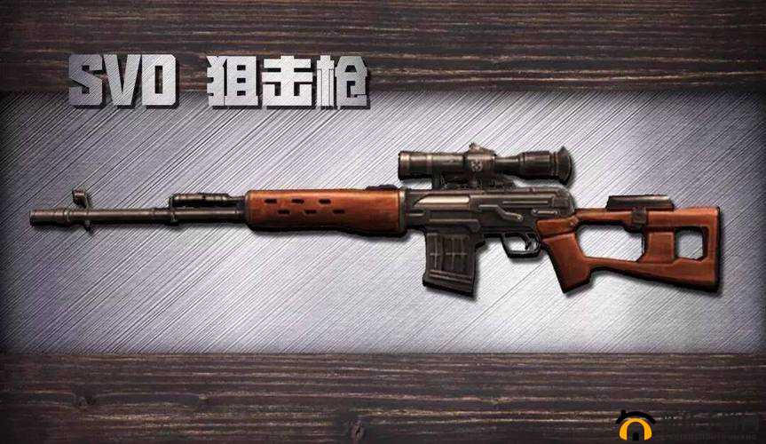 明日之后M24枪：LYB专业必备武器