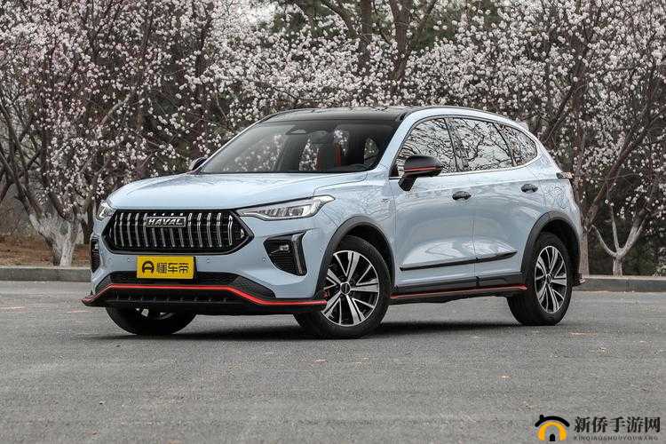 国产 SUV 精品一区二区四：品质驾乘新体验
