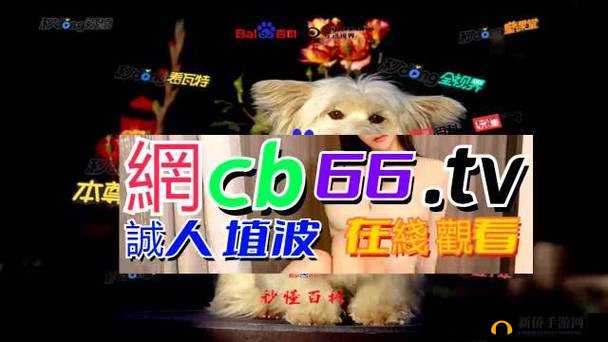 成品 78w78 隐藏通道 1 下载资源推荐