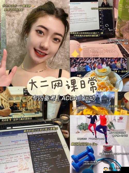 ACCA 少女 SDANVI：逐梦会计的青春之旅