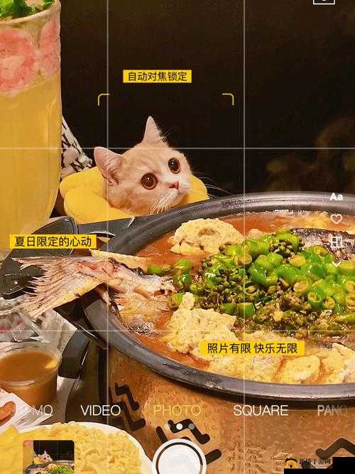 就喜欢听你叫 1V1 烤鱼猫：这是一种独特的情感表达