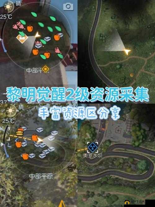 黎明觉醒游戏攻略，全面掌握提高采集速度的技巧与策略