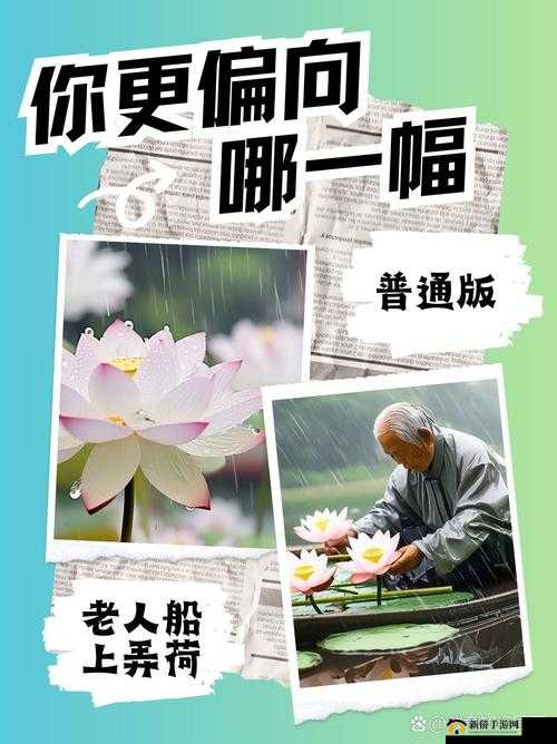 老人雨荷 12 集在线观看，这部剧为何如此受欢迎？