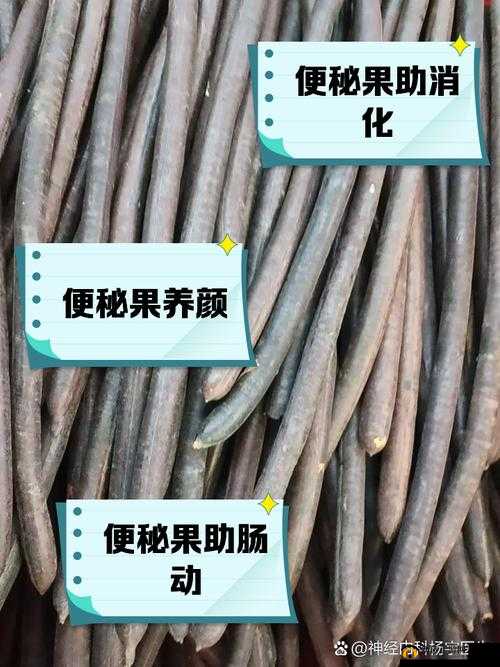 便秘果怎么吃才正确？一张图告诉你答案