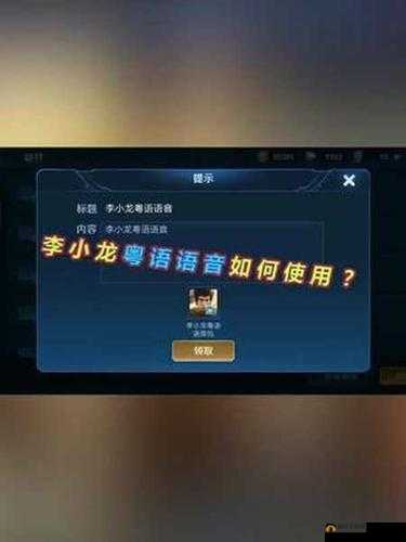 王者荣耀如何设置李小龙语音？粤语语音包使用教程揭秘
