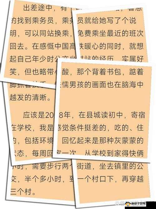 为什么公交车坐最后一排c我成了年轻人新宠？揭秘背后的舒适与隐私